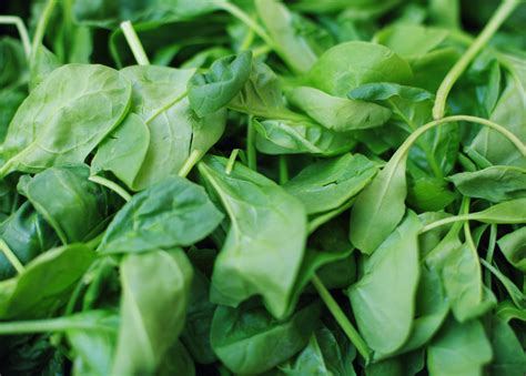 Spinach sold in 7 states recalled over listeria fears